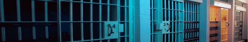 sexual assault attorneys